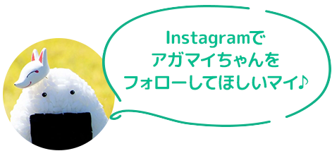 Instagram、アガマイちゃんをフォローしてほしいマイ♪